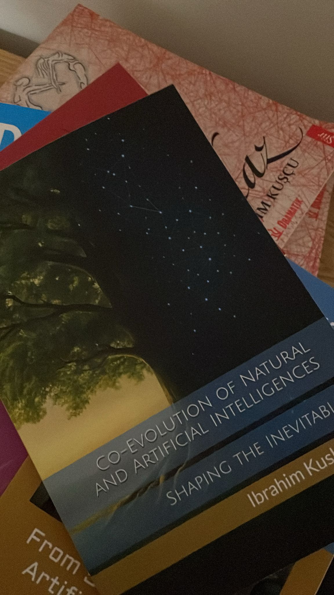 WhatsApp Image 2025-07-18 at 02.00.49